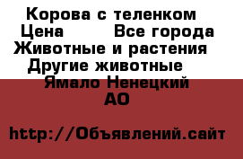 Корова с теленком › Цена ­ 69 - Все города Животные и растения » Другие животные   . Ямало-Ненецкий АО